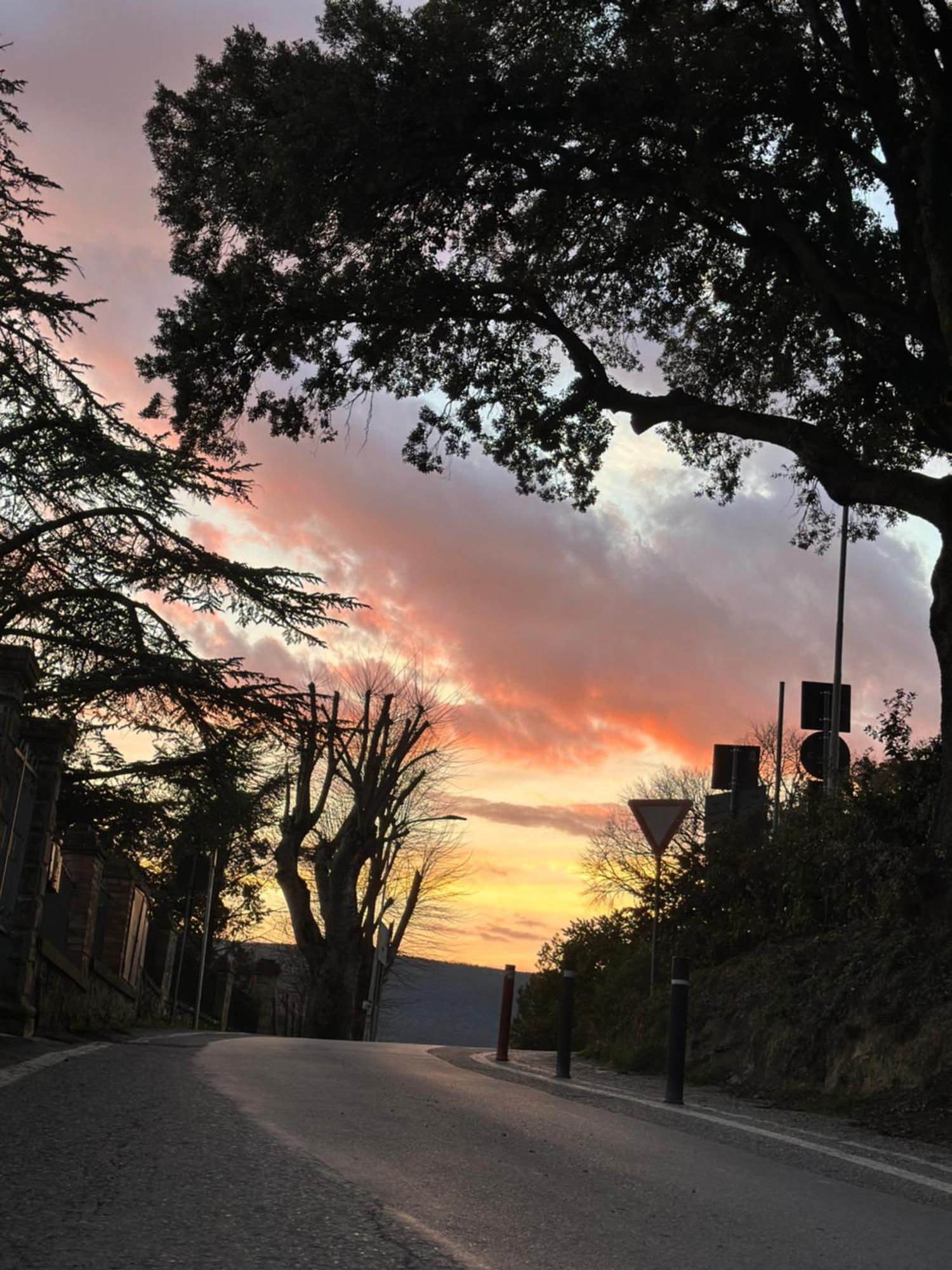 Lo Scrigno Dei Sogni Lejlighed San Gimignano Eksteriør billede
